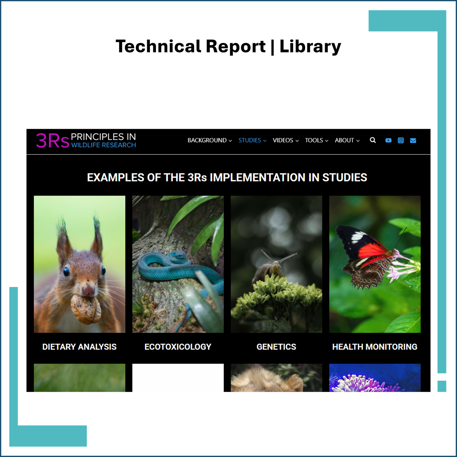 3Rs: Examples of Replacement, Reduction, and Refinement