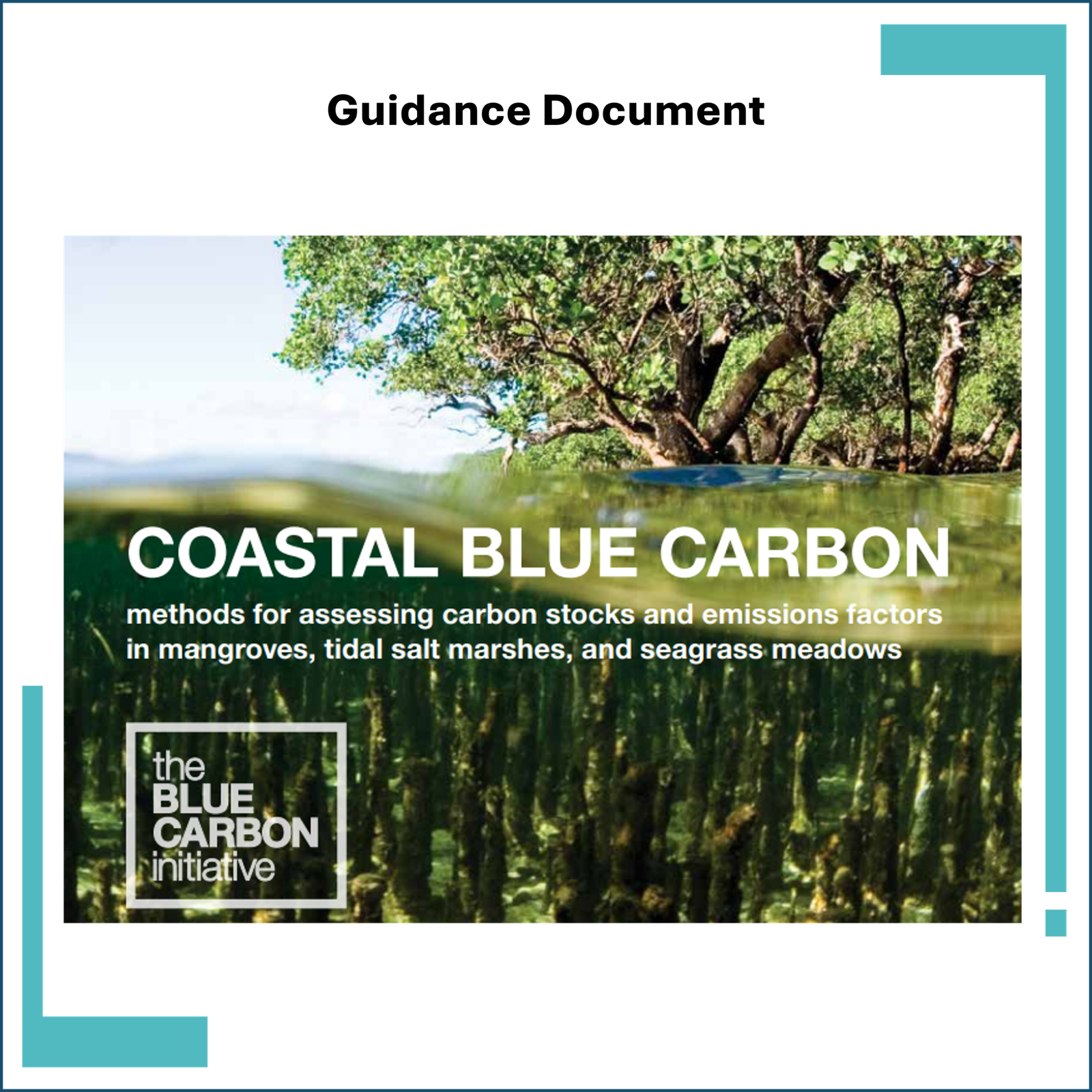 Coastal Blue Carbon Manual