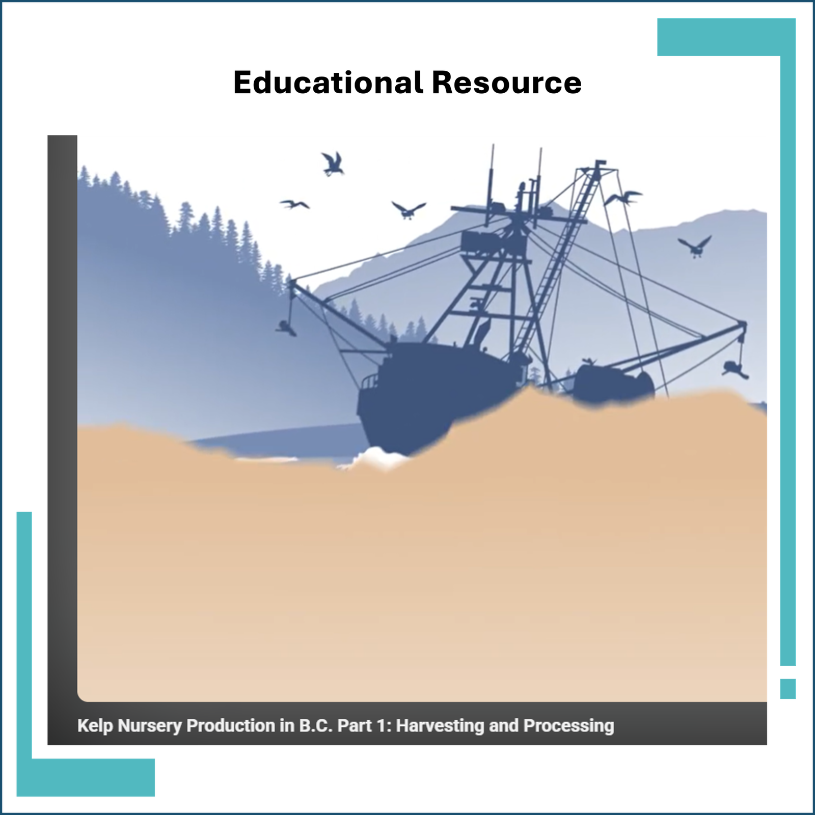 Kelp Nursery Production in B.C.