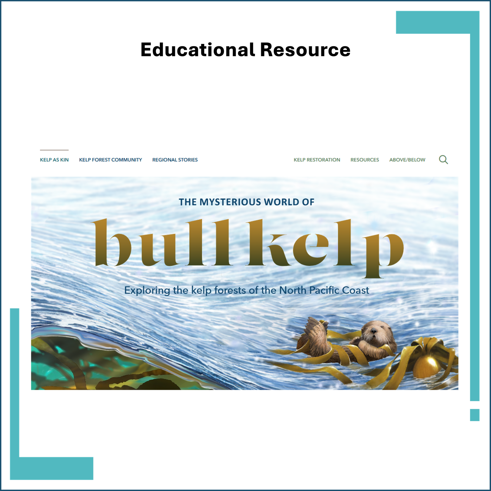 The Mysterious World of Bull Kelp