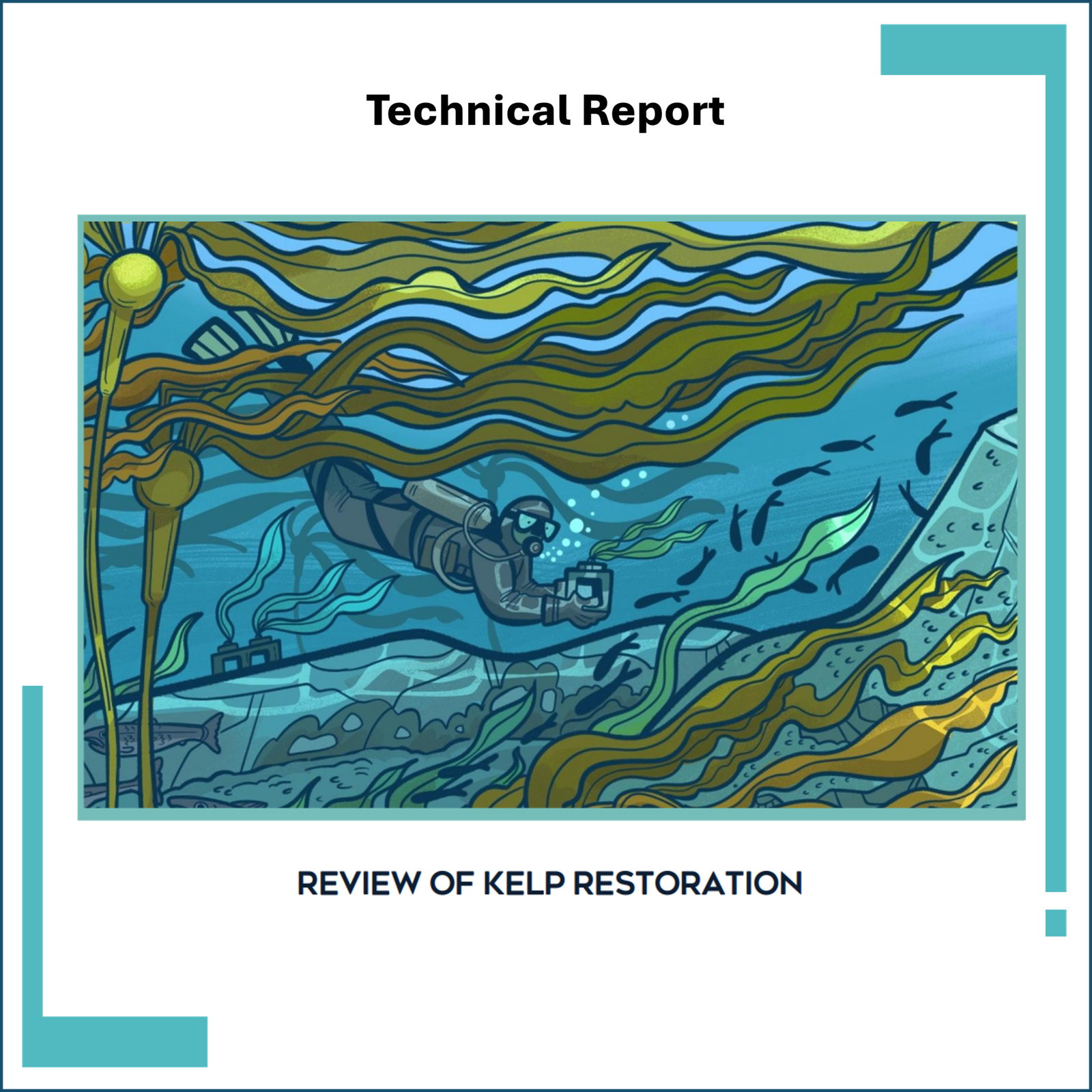 Review of Kelp Restoration Methodologies
