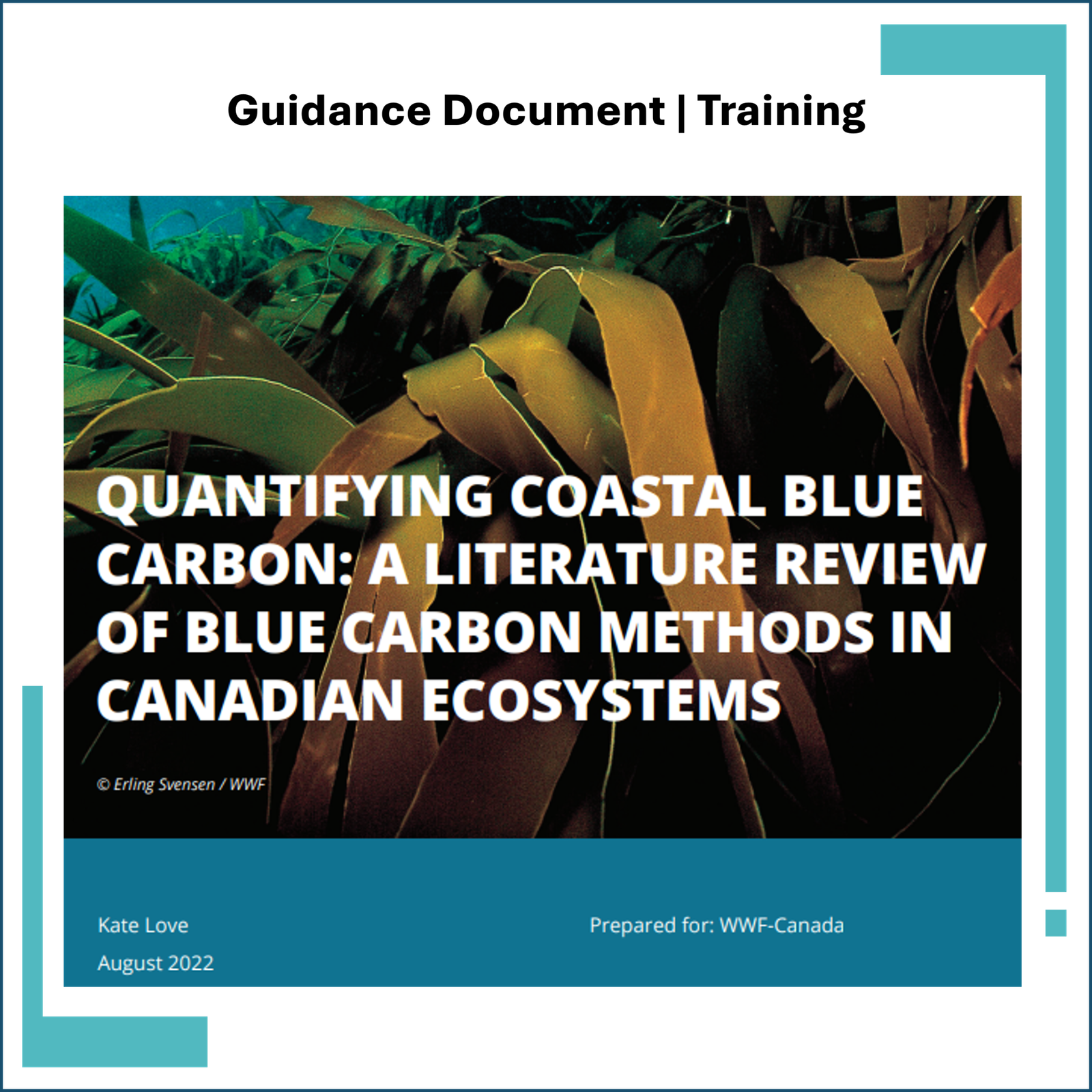 Quantifying Coastal Blue Carbon