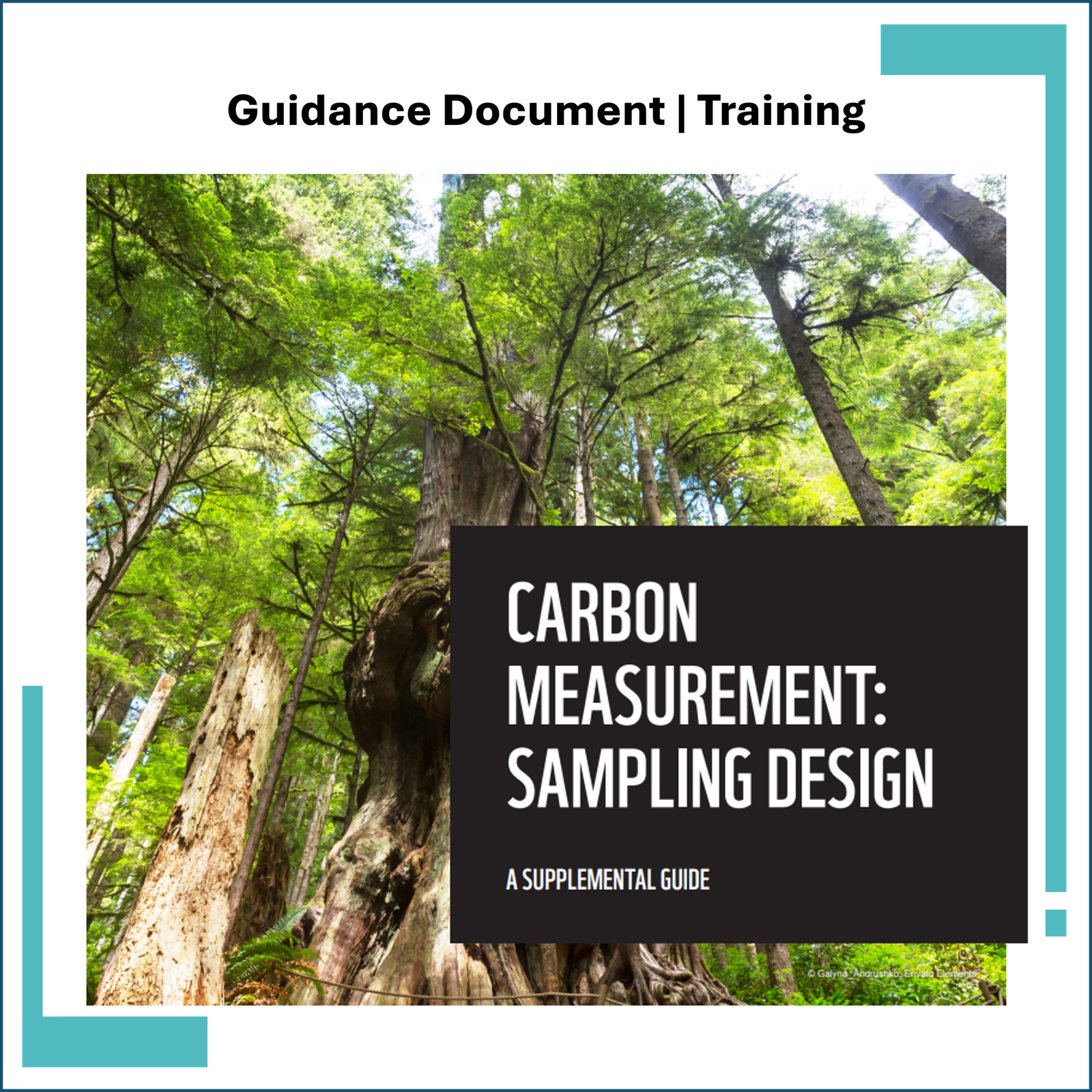 Carbon Measurement: Sampling Design Guide