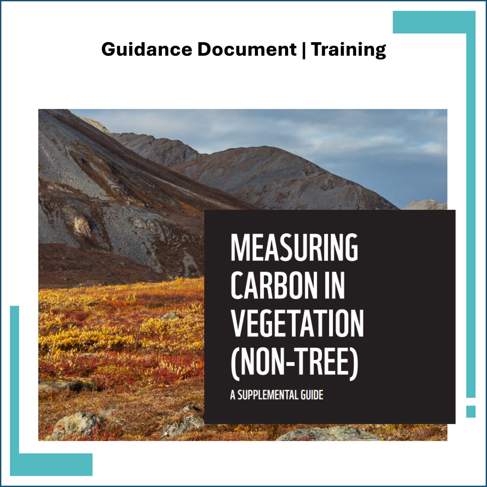 Measuring Carbon in Vegetation: Guide