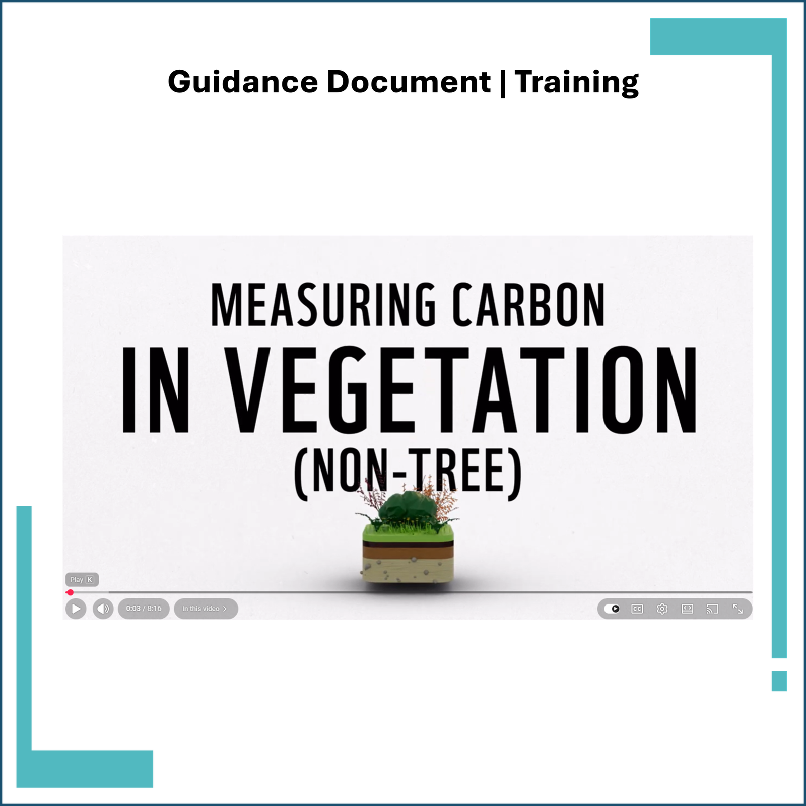 Measuring Carbon in Vegetation: Video