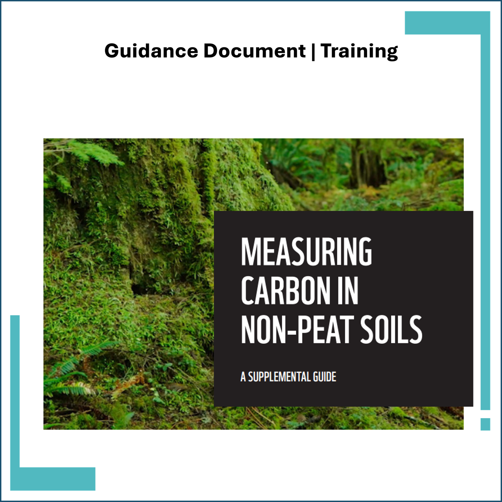 Measuring Carbon in Non-peat Soils: Guide