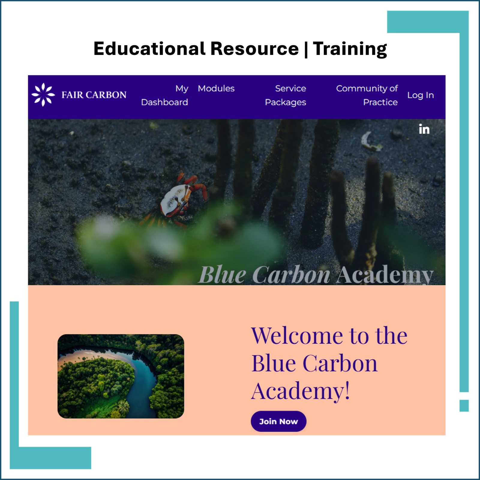 Blue Carbon Academy