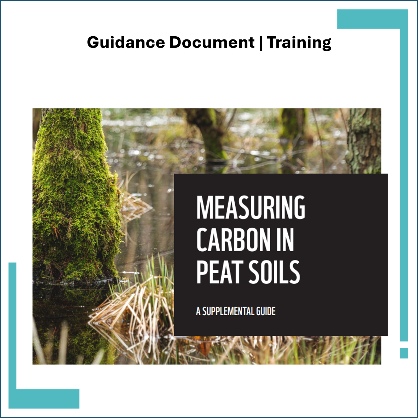 Measuring Carbon in Peat Soils: Guide