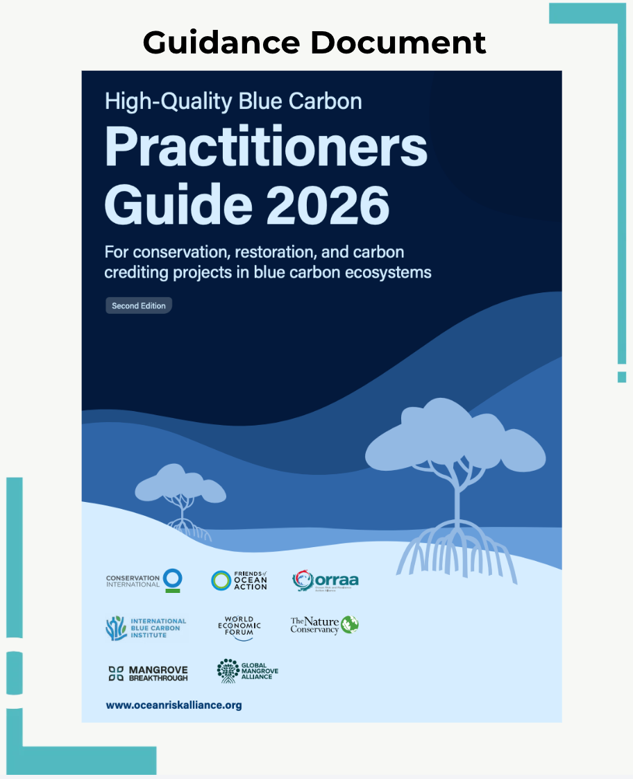 High-Quality Blue Carbon Practitioners Guide: Second Edition