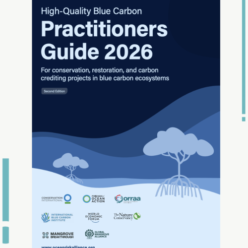 High-Quality Blue Carbon Practitioners Guide: Second Edition